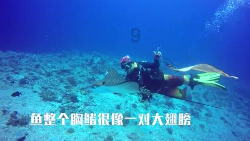 吸血鬼的谜语