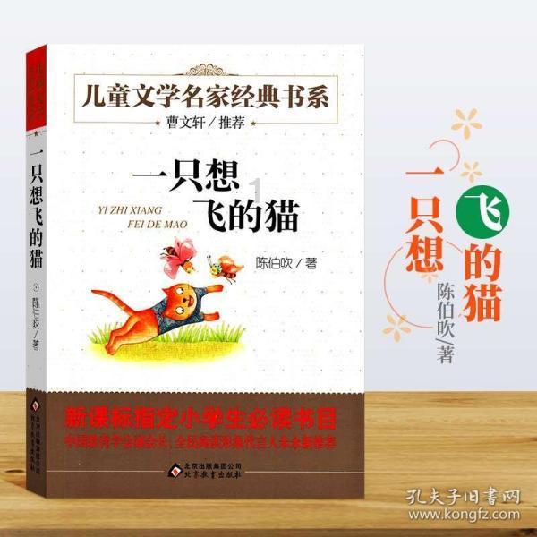 昆明市动物园猴山内2只猫疑似被猴群欺负